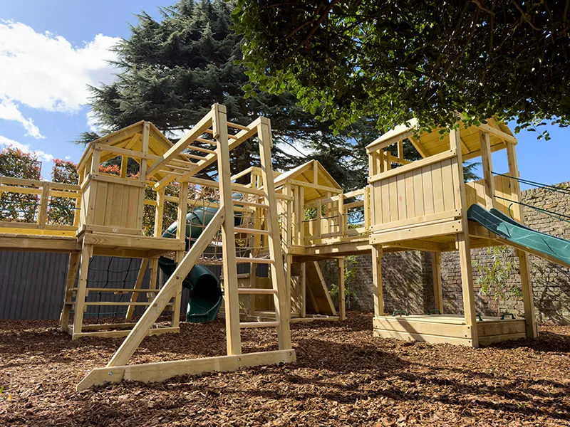 Why your child needs to climb image